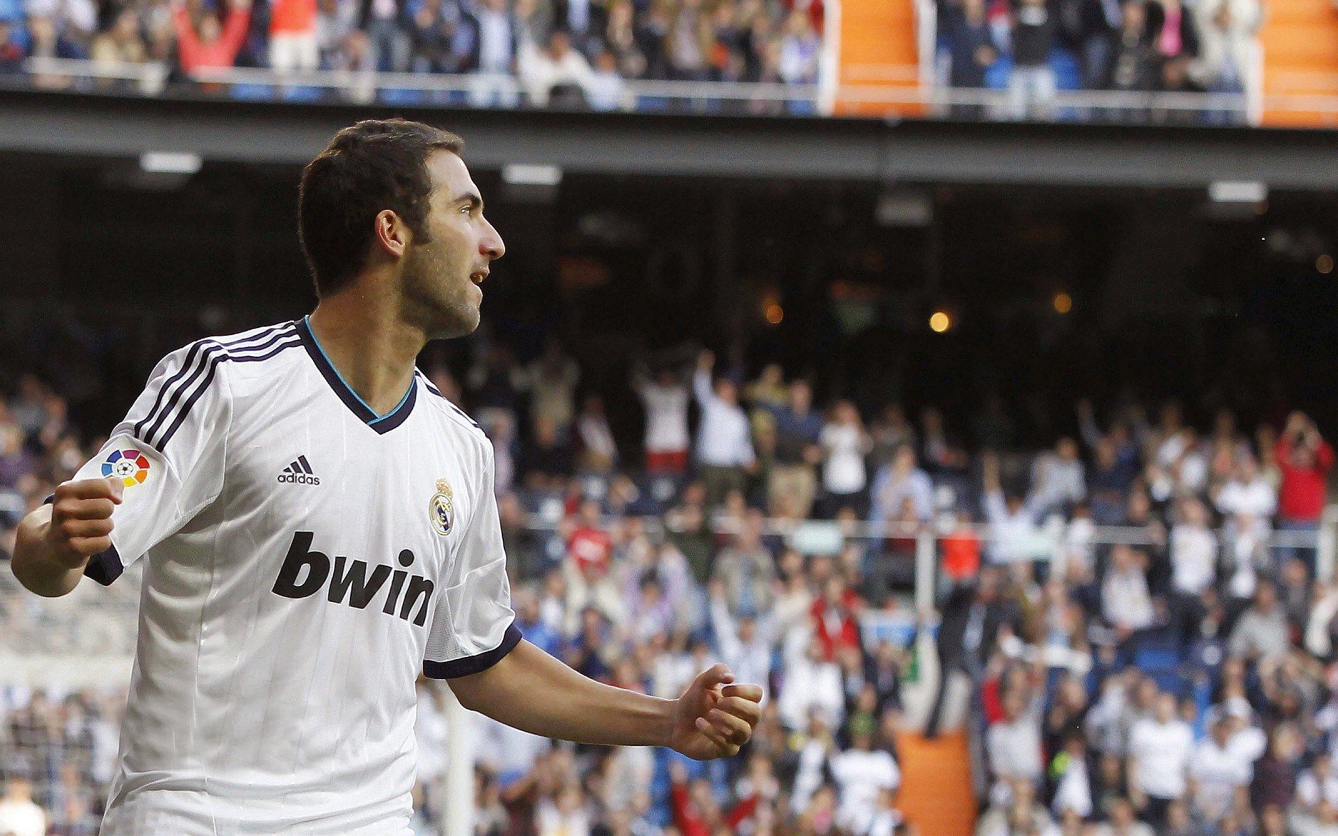 “绿色场馆”成为今年国际足球新关键词，环保标准逐步提升